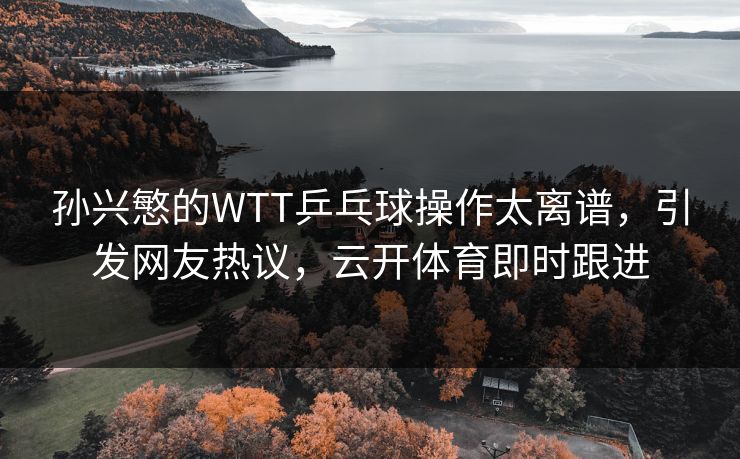 孙兴慜的WTT乒乓球操作太离谱，引发网友热议，云开体育即时跟进