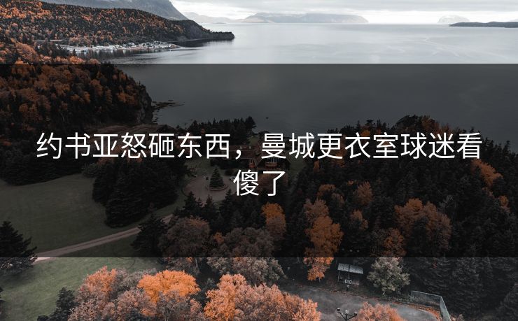 约书亚怒砸东西，曼城更衣室球迷看傻了
